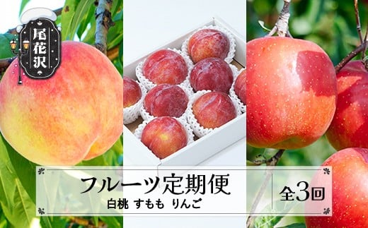 フルーツ定期便 全3回 白桃 すもも りんご 秀品 李 もも 桃 リンゴ 林檎 サンフジ 山形 東北 国産 くだもの フルーツ 果樹 定期便 お取り寄せ 2025年産 令和7年産 送料無料 ※沖縄・離島への配送不可 sb-fthpl3※沖縄・離島への配送不可 2178374 - 山形県尾花沢市