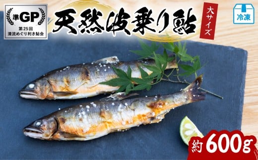 天然波乗り鮎 約600g 大サイズ 20～25cm 4～8尾 鮎 天然 約600g あゆ アユ 天然鮎 清流 海部川 川魚 冷凍  2192354 - 徳島県海陽町