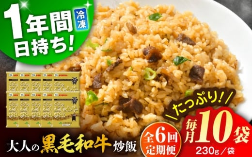 【全6回定期便】熊本県産 こだわり炒飯 大人の黒毛和牛炒飯 計2.3kg (230g×10)【ユーユーフーズ株式会社】 [BHCS020]