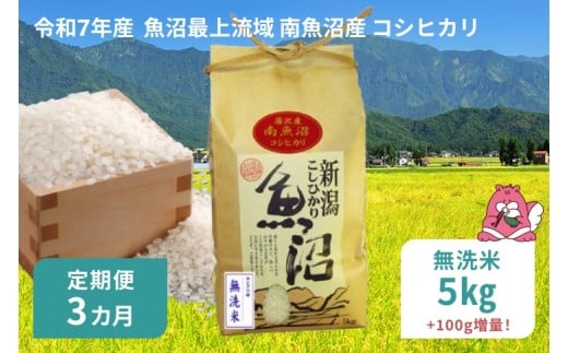 令和7年産 5kg 【3か月定期便】〈無洗米〉魚沼最上流域 南魚沼産 コシヒカリ 精米したてのお米をお届け 【湯沢産 コシヒカリ】