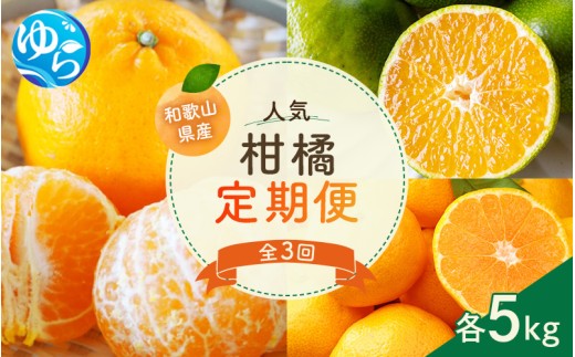 【先行予約】エイワ商店自慢の人気柑橘定期便【全3回】※北海道・沖縄・離島配送不可 / 温州みかん 早生みかん ポンカン みかん 柑橘 ぽんかん 由良町 果物 くだもの フルーツ 期間限定 産地直送 和歌山【eiw-tkb001】 2096649 - 和歌山県由良町