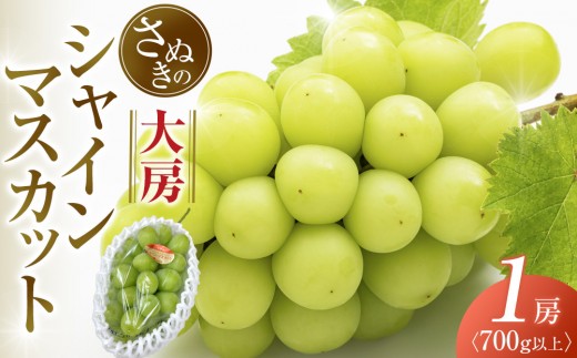 【8月中旬頃～発送】大房シャインマスカット 700g (1房) 2030961 - 香川県さぬき市