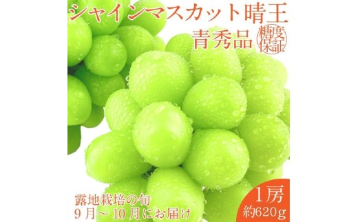 【2025年 予約受付中】 シャインマスカット 晴王 1房約620g 9月～10月出荷/ 岡山県産 種無し 皮ごと食べる みずみずしい フレッシュ 晴れの国 おかやま　 果物大国 彩美菜果 [№5735-2114]