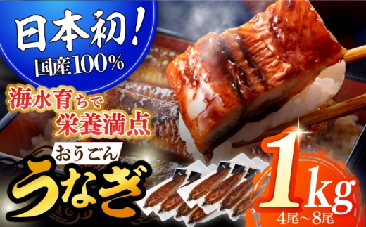 長崎県産おうごん うなぎ 松セット 約1kg(4尾〜8尾) 平戸市 / 松永水産 うなぎ 鰻 ウナギ 土用丑の日