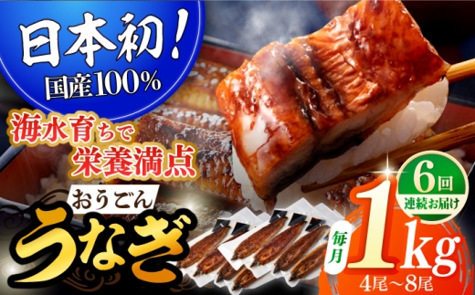 長崎県産おうごん うなぎ 松セット 約1kg(4尾〜8尾) 平戸市 / 松永水産 うなぎ 鰻 ウナギ 土用丑の日