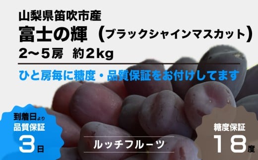 迫力のある大きな粒で、皮ごと食べられて、食感もよく大変に美味しいブドウです!