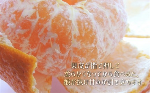 アイテムID:357624の画像3枚目