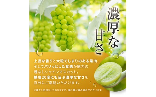 アイテムID:443621の画像5枚目