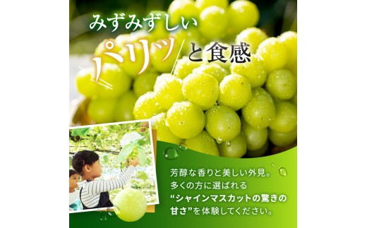アイテムID:443621の画像6枚目
