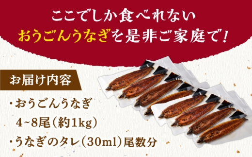 長崎県産おうごん うなぎ 松セット 約1kg（4尾〜8尾） 平戸市 / 松永水産 うなぎ 鰻 ウナギ 土用丑の日 