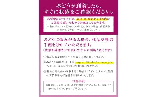 山梨県甲州市のふるさと納税 ＼レビューキャンペーン実施中／新鮮産直甲州市！種なし巨峰 約1.5kg 2～4房【2025年発送】（KSF）B12-461  【巨峰 葡萄 ぶどう ブドウ 令和7年発送 期間限定 山梨県産 甲州市 フルーツ 果物】