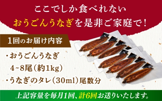 長崎県産おうごん うなぎ 松セット 約1kg（4尾〜8尾） 平戸市 / 松永水産 うなぎ 鰻 ウナギ 土用丑の日 