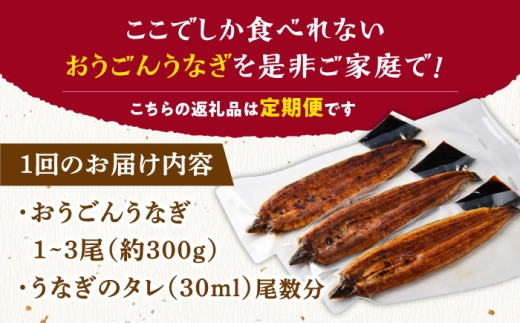 長崎県産おうごん うなぎ 計3.6kg（約300g×12回）平戸市 / 松永水産  