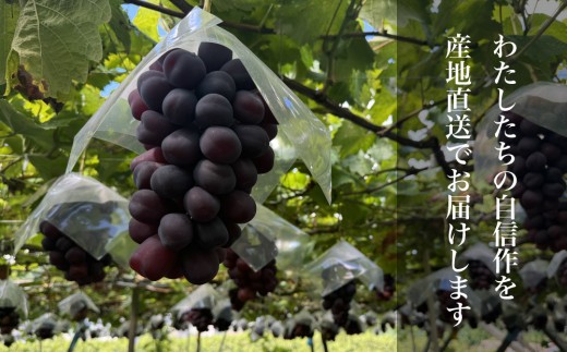 生産からお手元にお届けするまで全てを丁寧に丁寧に取り組ませていただいております。