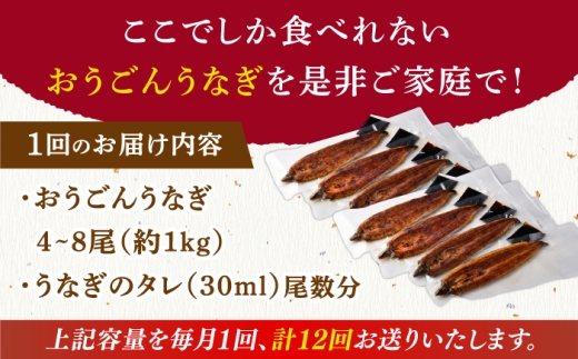 長崎県産おうごん うなぎ 松セット 約1kg（4尾〜8尾） 平戸市 / 松永水産 うなぎ 鰻 ウナギ 土用丑の日