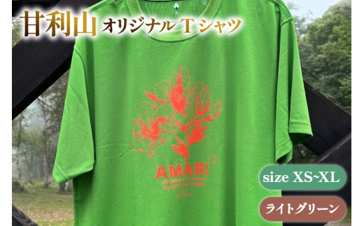 甘利山オリジナルTシャツ (ライトグリーン) XL 1枚 Tシャツ 登山 アウトドア シルクスクリーン 甘利山 モンベル [甘利山グリーンロッジ 山梨県 韮崎市 20745132-e]