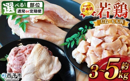 選べる部位・配送回数[愛媛県産 銘柄鶏 浜千鶏(はまちどり)若鶏 むね肉/もも肉 3〜5kg]国産 鶏肉 大容量 業務用 家庭用 鳥肉 とり チキン ムネ モモ 精肉 塊 ブロック 切り身 カット済み 定期便 産地直送 愛媛県 西予市[冷凍]