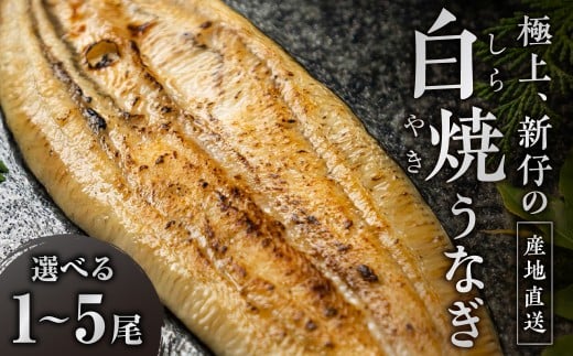 ≪先行予約! 発送は7月28日以降≫ 極上 豊橋うなぎ 山義養魚の『うなぎ晴々』白焼 希少 厳選 国産 新仔うなぎ 若うなぎ 鰻 簡易包装 ウナギ 鰻 ギフト 配布 最高級 土用丑の日 ギフト 冷凍 お取り寄せ 送料無料 日本酒と わさび 山椒 塩 大人 贅沢
