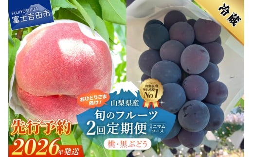 [2026年発送 先行予約][ミニマム 2回定期便]厳選 旬のフルーツ定期便(桃3玉・黒ぶどう1房)