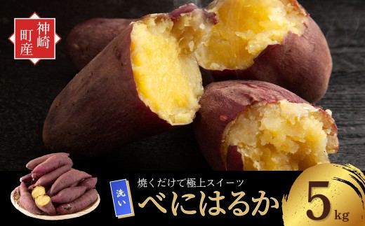＜先行予約＞ 神崎町産 べにはるか さつまいも 5kg【洗い・M～Sサイズ混合】(5～12月受付分は翌年1月中旬以降発送)｜さつま芋 焼き芋 焼きいも イモ 芋 紅はるか 訳アリ しっとり 濃厚 蜜 スイートポテト にも ファームおせげん[016-a006]