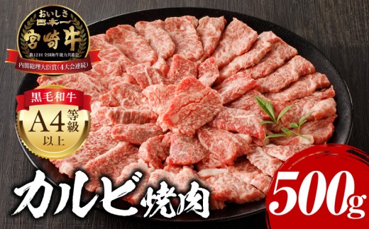 【2025年10月発送】宮崎牛カルビ焼肉用500g_M243-004-oct 1397947 - 宮崎県宮崎市
