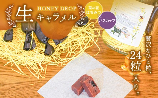 [HONEY DROP]菜の花はちみつ生キャラメル(ハスカップ) 2ダース(24粒入り) | 生キャラメル キャラメル フルーツキャラメル ハスカップキャラメル 厚真町産ハスカップ 生乳 濃厚 贅沢 甘酸っぱい くちどけ 北海道スイーツ ご当地スイーツ お菓子 スイーツ お取り寄せ 北海道 恵庭市 恵庭[750002]