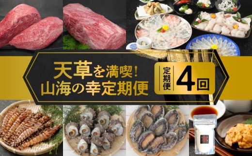 S999-T12_【定期便4回】天草を満喫！山海の幸定期便