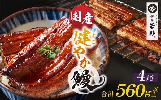 U61-138 健やか鰻 国産うなぎ蒲焼（無頭）4尾（計560g以上） 九州産 国産鰻 うなぎ ウナギ 鰻 人気 おすすめ ひつまぶし 鰻 蒲焼き タレ 山椒 ランキング 鰻 冷凍 うな重 ひつまぶし うなぎ 福智町 鰻蒲焼き うな丼 丑の日 2198800 - 福岡県福智町