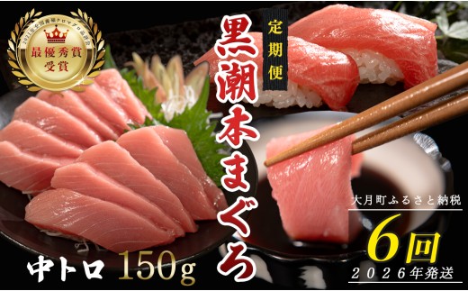 【定期便6回】日本一!黒潮本まぐろ 中トロ 1030131 - 高知県大月町