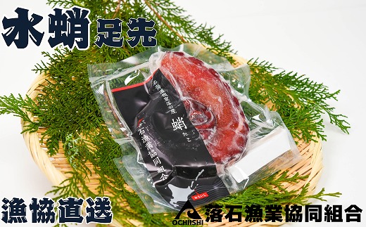 F-20003 【北海道根室産】ボイル水たこ足先8P(計2.6kg) 1439441 - 北海道根室市