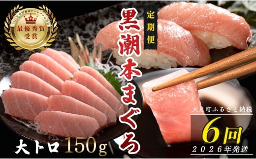 【定期便6回】日本一!黒潮本まぐろ 大トロ 1030134 - 高知県大月町