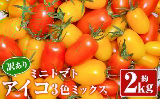【訳あり】ミニトマト『アイコ』3色ミックス 約2kg【2025年7月中旬～8月下旬発送予定】／ミニトマト トマト フルーツトマト レッド イエロー オレンジ 野菜 直送 岩手県 二戸市 2006254 - 岩手県二戸市