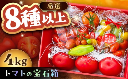 トマトの宝石箱 4kg / トマト とまと 大玉トマト ミニトマト 詰め合わせ / 恵那市 / クリエイティブファーマーズ ［AUAH015］