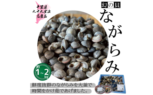 九十九里産 釜茹で ながらみ 砂抜き済み 選べる 約 1kg / 約 2kg 小分け包装 貝 九十九里浜 九十九里 小分け 巻貝 巻き貝 珍味 貝類 貝 釜茹で 魚貝類 無添加 魚介 贈答 ギフト プレゼント 贈答 記念日 お祝い 送料無料 千葉県 旭 飯岡ヤマイチ水産-大納屋- 千葉県 旭市 iys