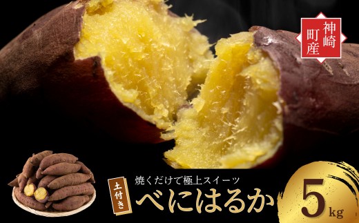 ＜先行予約＞ 神崎町産 べにはるか さつまいも 5kg【土付き・M～Sサイズ混合】(5～12月受付分は翌年1月中旬以降発送)｜さつま芋 焼き芋 焼きいも イモ 芋 紅はるか 訳アリ しっとり 濃厚 蜜 スイートポテト にも ファームおせげん [016-a008]