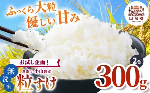 新米 【9月上旬から順次発送】 令和7年産 君津市小山野産 粒すけ 無洗米 2合 約300g レターパックライト |  あかかげ農園 メディアで紹介 ！ 山名郷米 やまなごう まい 少量 千葉稲作 しんまい シンマイ こしひかり 千葉県産 むせんまい 米 コメ こめ お米 千葉県 君津市 きみつ 2239813 - 千葉県君津市