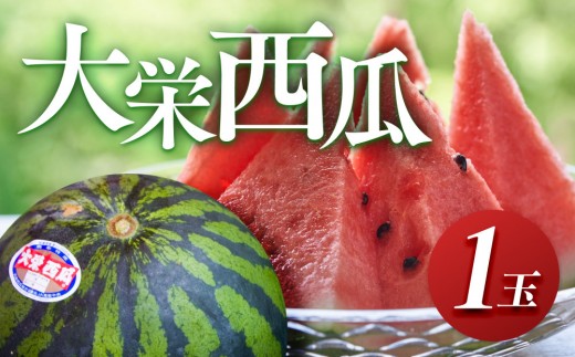 ＼2026年産先行予約／大栄西瓜（すいか） 1玉（高間商店）※2026年6月中旬～7月中旬頃に順次発送予定 | 西瓜 スイカ 大栄すいか 果物 フルーツ くだもの 鳥取県 北栄町 おすすめ 人気 送料無料