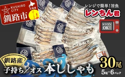 レンちん君釧路産本ししゃもセット シシャモ  冷凍 魚 海産物 一夜干し 北海道 F4F-8446 2203515 - 北海道釧路市