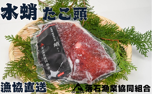 C-20002 【北海道根室産】ボイル水たこ頭カット8P(計3.6kg) 1478240 - 北海道根室市