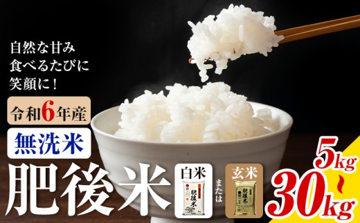 熊本県産 肥後米 無洗米 白米 玄米 5kg/10kg/20kg/30kg 選べる内容量 1袋5kg 米 お米 令和6年産 九州産 熊本県産 ブレンド米 送料無料[30日以内に出荷予定(土日祝除く)]玄米 無洗米 白米 米