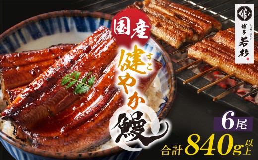 U61-139 健やか鰻 国産うなぎ蒲焼（無頭）6尾（計840g以上） 九州産 国産鰻 うなぎ ウナギ 鰻 人気 おすすめ ひつまぶし 鰻 蒲焼き タレ 山椒 ランキング 鰻 冷凍 うな重 ひつまぶし うなぎ 福智町 鰻蒲焼き うな丼 丑の日 2198801 - 福岡県福智町