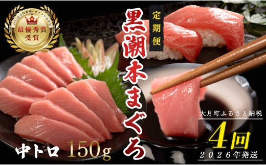 【定期便 4回】日本一!黒潮本まぐろ 中トロ 1030130 - 高知県大月町
