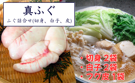 鮮度・美味しさ抜群　たっぷり白子楽しめます!ふぐ詰合せ(切身、白子、皮)