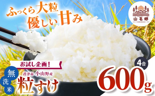 新米 【9月上旬から順次発送】 令和7年産 君津市小山野産 粒すけ 無洗米 4合 約600g レターパックライト |  あかかげ農園 メディアで紹介 ！ 山名郷米 やまなごう まい 少量 千葉稲作 しんまい シンマイ こしひかり 千葉県産 むせんまい 米 コメ こめ お米 千葉県 君津市 きみつ 2239815 - 千葉県君津市