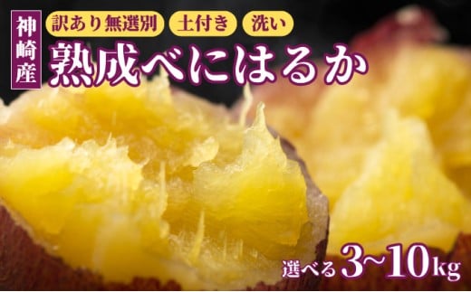 [先行予約] 神崎町産 べにはるか さつまいも 3〜10kg [訳あり 無選別 / 土付き / 洗い](5〜12月受付分は翌年1月中旬以降発送)|さつま芋 焼き芋 焼きいも イモ 芋 紅はるか 10kg 5kg 3kg 訳アリ しっとり 濃厚 蜜 スイートポテト にも ファームおせげん