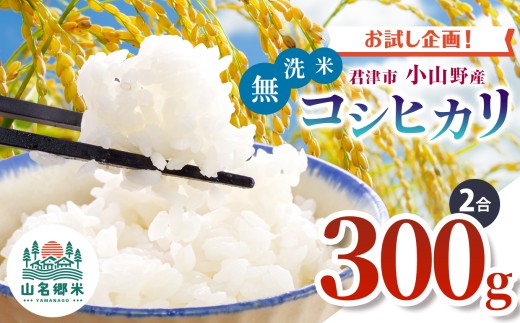 新米 【9月上旬から順次発送】 令和7年産 君津市小山野産 コシヒカリ 無洗米 2合 約300g レターパックライト | あかかげ農園 メディアで紹介 ! 山名郷米 やまなごう まい 千葉稲作 しんまい シンマイ 少量 こしひかり 千葉県産 むせんまい 米 コメ こめ お米 千葉県 君津市 きみつ 2239808 - 千葉県君津市