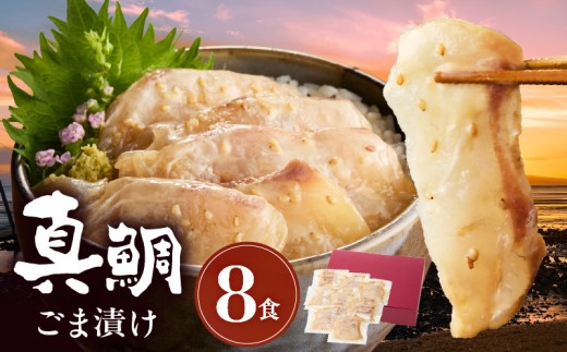 S010-059_真鯛ごま漬け8食セット 327624 - 熊本県天草市