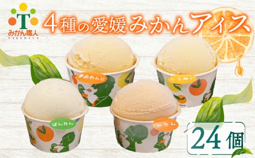 柑橘アイス カップ 24個 (4種) 【夢おれんじ 河内晩柑 愛媛みかん しらぬい 】 アイス ジェラート シャーベット ソルベ アイスクリーム ランキング 人気 贈答用 プレゼント 家庭用 みかん 柑橘 かんきつ まどんな 愛果28号 愛南ゴールド 不知火 デコポン ぽんかん 冷凍 冷凍みかん 冬 夏 みかん職人武田屋 愛媛県 愛南町