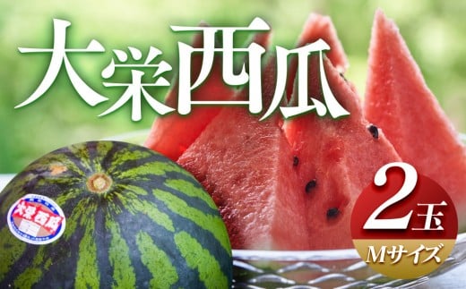 ＼2026年産先行予約／大栄西瓜（すいか） M ２玉 ※2026年6月中旬～7月中旬頃に順次発送予定 | 西瓜 スイカ 大栄すいか 果物 フルーツ くだもの 鳥取県 北栄町 おすすめ 人気 送料無料