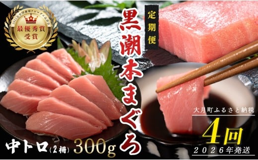 【定期便4回】日本一!黒潮本まぐろ 中トロ2柵 1030135 - 高知県大月町